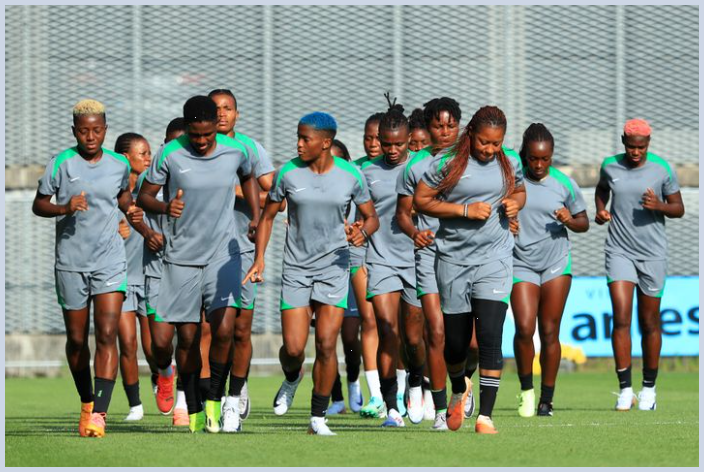 Why Were the Super Falcons Beaten by Malawi? Ucheibe Shares Her Verdict